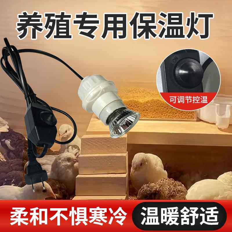 芦丁鸡保温灯小鸡育雏专用加热灯宠物小太阳保温箱灯泡养殖取暖灯,畜牧/养殖物资,养殖保温灯,淘宝优惠券,粉丝福利购,淘宝优惠卷