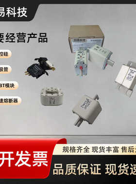 170M4608 170M4609 170M4610 170M4611 170M4612 170M4613熔断器