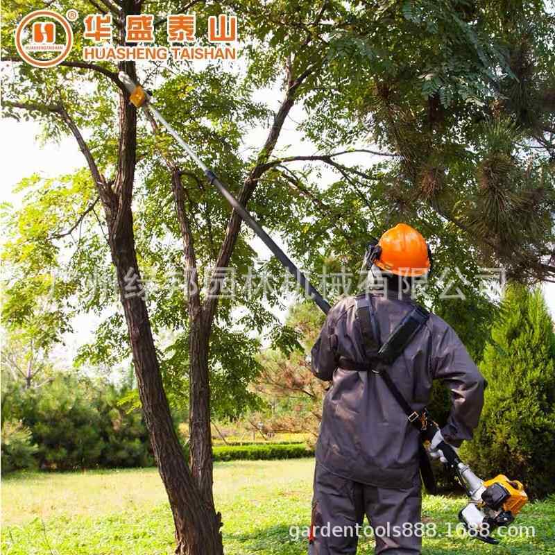 山东华盛高枝锯高枝油锯 可伸缩工作杆4.3米大功率QJB270汽油链锯