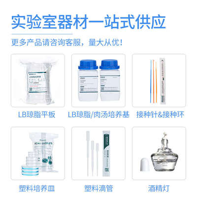 比克曼生物乳糖胆盐葡萄糖发酵管蛋白胨培养液大肠杆菌菌种培养基