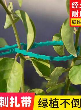 园艺扎绑线鱼骨线植物绑扎带多功能加固扎可调节藤蔓捆绑园林绿色
