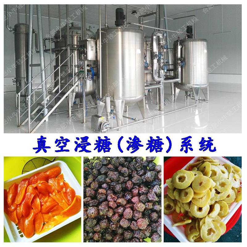 果干果片真空糖浸糖渍罐设备凉果水果干蜜饯真空渗糖机械