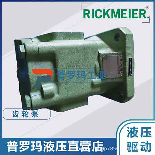 RICKMEIER 瑞克梅尔 齿轮泵 330264-3 R35/63 FL-Z-DB16-W-SAE2-R