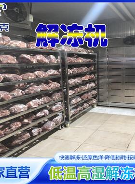 羊酮体冻盘缓化机设备 牛羊肉低温高湿解冻库海产品肉类解冻设备
