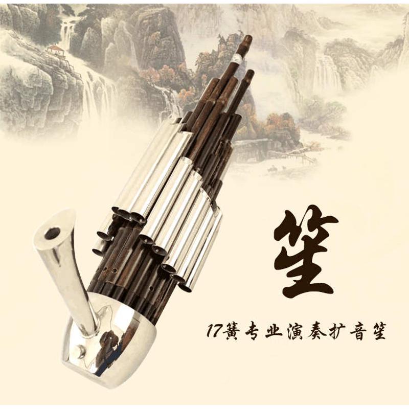 厂家直销专业精致17簧扩音笙DCFGE调笙