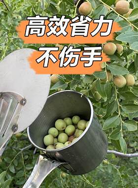 新款打枣神器摘酸枣神器摘枣采酸枣撸揪酸枣采摘神器采山枣子工具