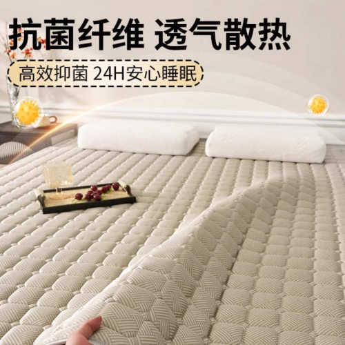 夏季2025新款凉席床垫遮盖物双面冬夏两用榻榻米冰丝席子软垫垫子