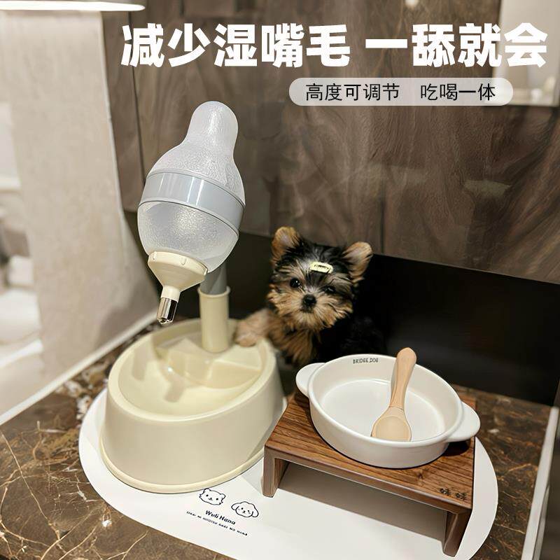 狗狗喝水器不湿嘴饮水机自动挂式悬挂喂 食碗喂水水壶猫咪宠物用