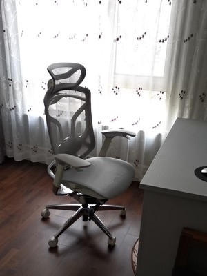 Ergoup蝴蝶人体工学椅怎么样？质量评价骗局曝光？不看后悔