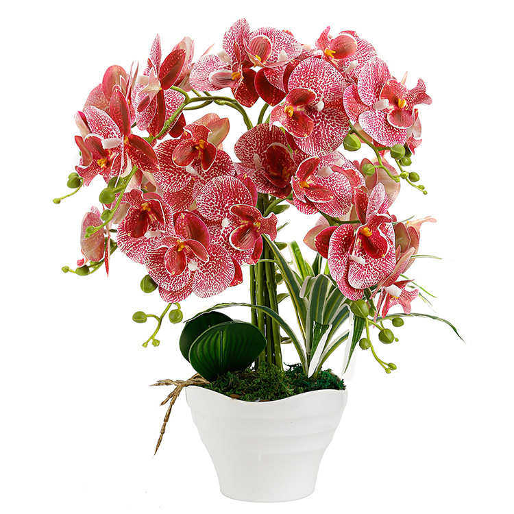 产地货源仿真花手感3d打印色蝴蝶兰大盆栽套装创意家居装饰摆件,家居饰品,仿真花/假花,淘宝优惠券,粉丝福利购,淘宝优惠卷