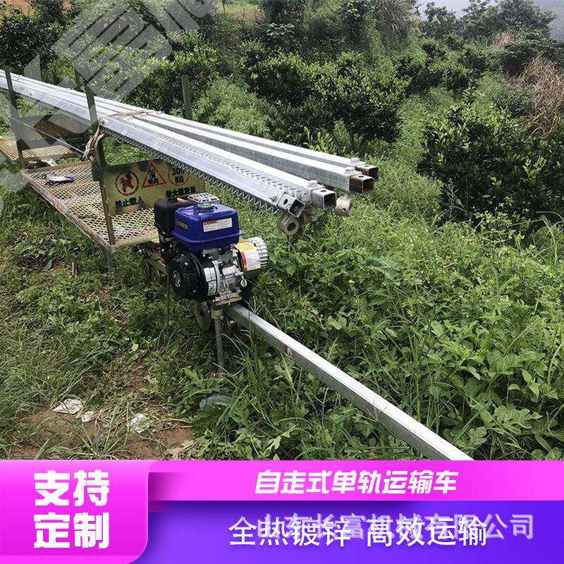 果园单轨运输车上山下山自走式单轨轨道车大棚双轨轨道运输车 - 实物图