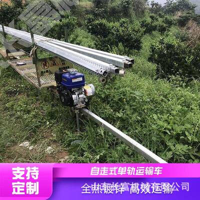 果园单轨运输车 上山下山自走式单轨轨道车 大棚双轨轨道运输车