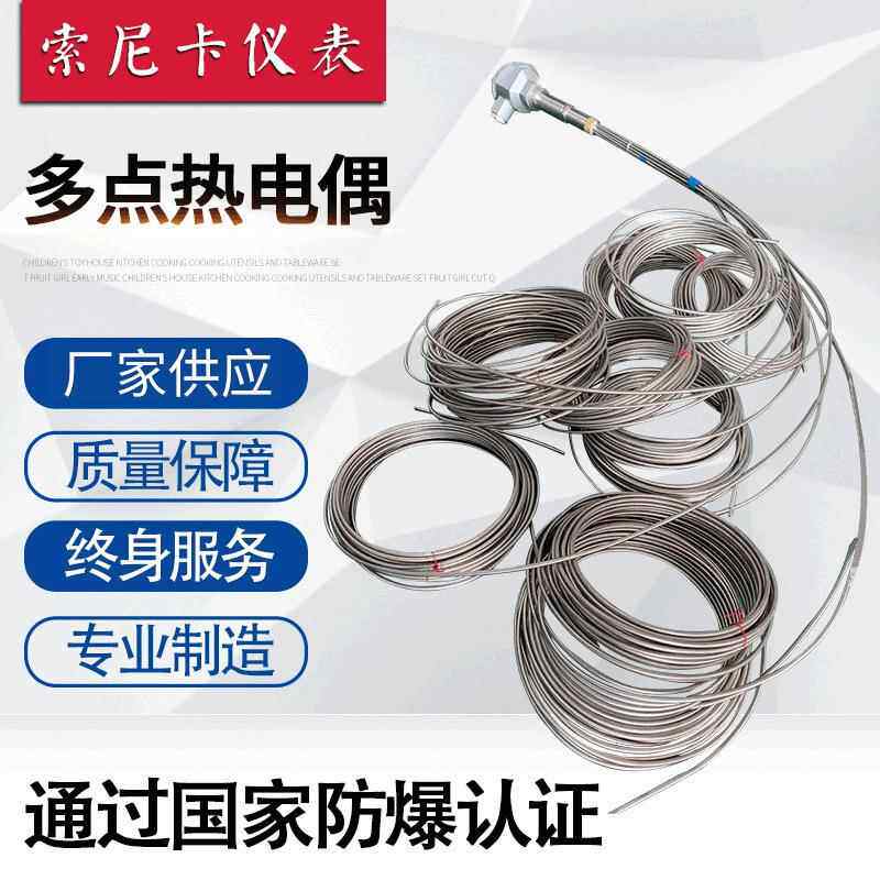 厂家供应多点热电偶 气化炉储存罐WRN-240DK型防爆多点铠装热电偶