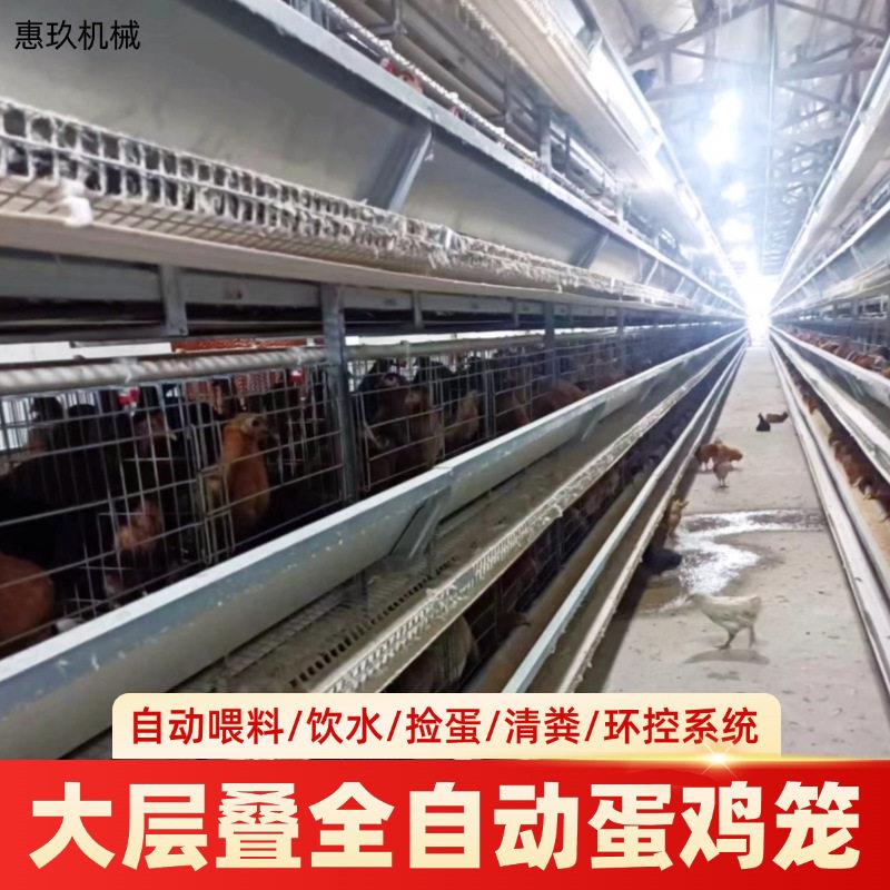 养鸡设备生产厂家自动喂料线饮水捡蛋清粪全自动上料设备定制