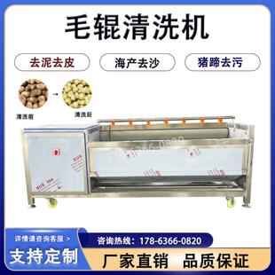 毛辊清洗机商用土豆去皮机全自动莲藕清洗机多功能毛刷去皮机