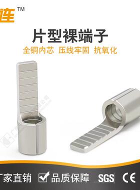 中连片型接线线鼻欧式鸭嘴铜鼻子DBN插片接线端子扁形裸端头现货