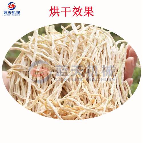 全自动小型卜干丝烘干机萝白LT-LBJ烘萝卜烘干机萝卜萝卜条烘干箱