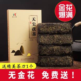 送茶刀湖南安化黑茶手工茯砖茶金花黑茶天尖茯砖陈年黑茶叶2015年