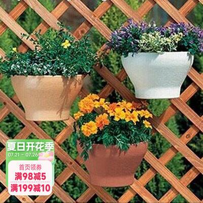 海蒂的花园IRIS/IRIS FIRENZE单孔加厚壁挂花盆（不带钩）
