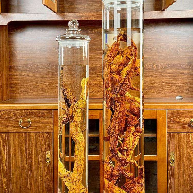 直筒高硼硅玻璃泡酒酒瓶带龙头人参牛大力鹿鞭密封储物罐