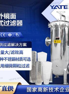 内外镜面袋式过滤器多袋侧进侧出过滤设备DN50法兰不锈钢过滤机