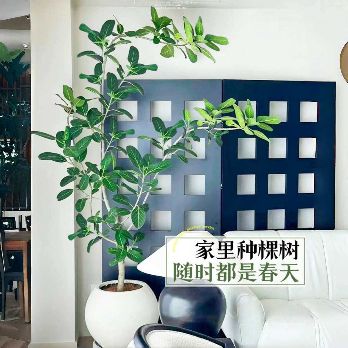 网红孟加拉榕盆栽大型绿植榕高山榕树室内客厅落地橡皮面包树,鲜花速递/花卉仿真/绿植园艺,仿真绿植,淘宝优惠券,粉丝福利购,淘宝优惠卷