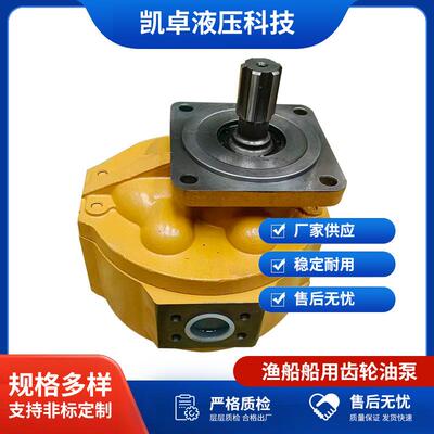 船用高压液压泵高压耐用静音渔船船用齿轮油泵CBG3160-L厂家