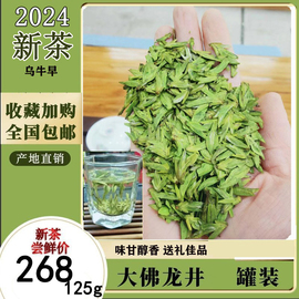 2024明前特级早茶高山绿茶大佛龙井茶新昌本地直供新茶叶罐装125g