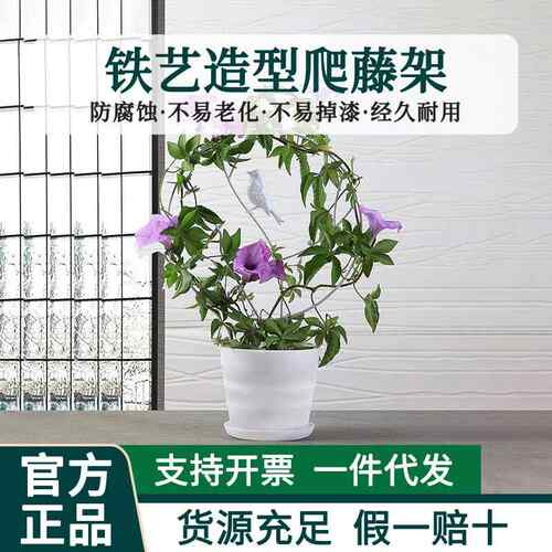 铁艺爬藤攀爬架造型山乌龟雪莹花盆阳台庭院用绿植盆景支架支撑杆