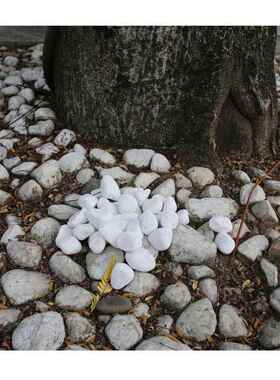 景碎石是鹅卵石铺路-鹅卵石园林造鱼池铺贴m标BIK准35c黄色鹅春石