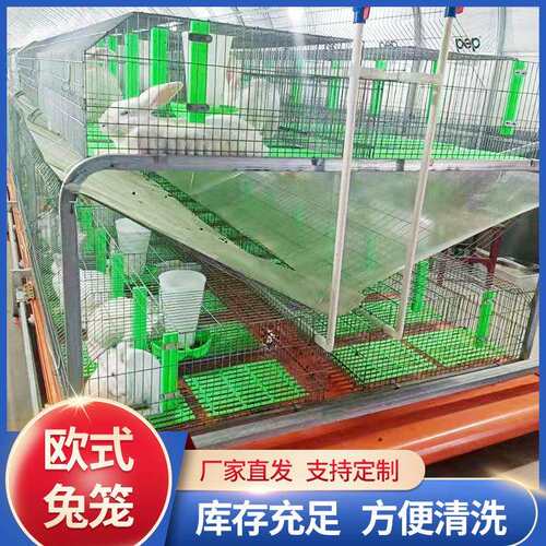 厂家欧式兔笼养殖厂加粗笼框内有塑料槽碗水槽现货兔笼