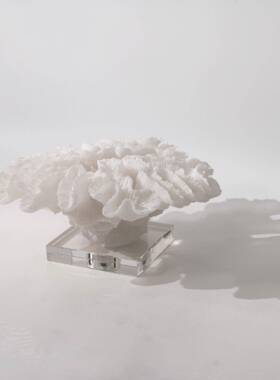 北欧现代轻奢珊瑚摆件桌面摆设客厅家居样板间民宿酒店工艺礼品摆