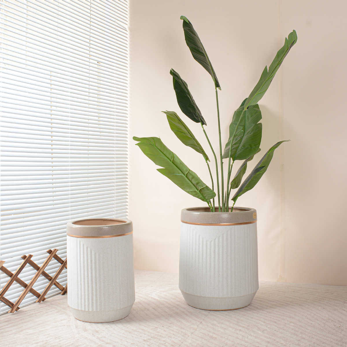 简约圆柱形陶瓷花盆30cm以上大口径室内外散尾葵绿植落地厂家直销,鲜花速递/花卉仿真/绿植园艺,花盆,淘宝优惠券,粉丝福利购,淘宝优惠卷