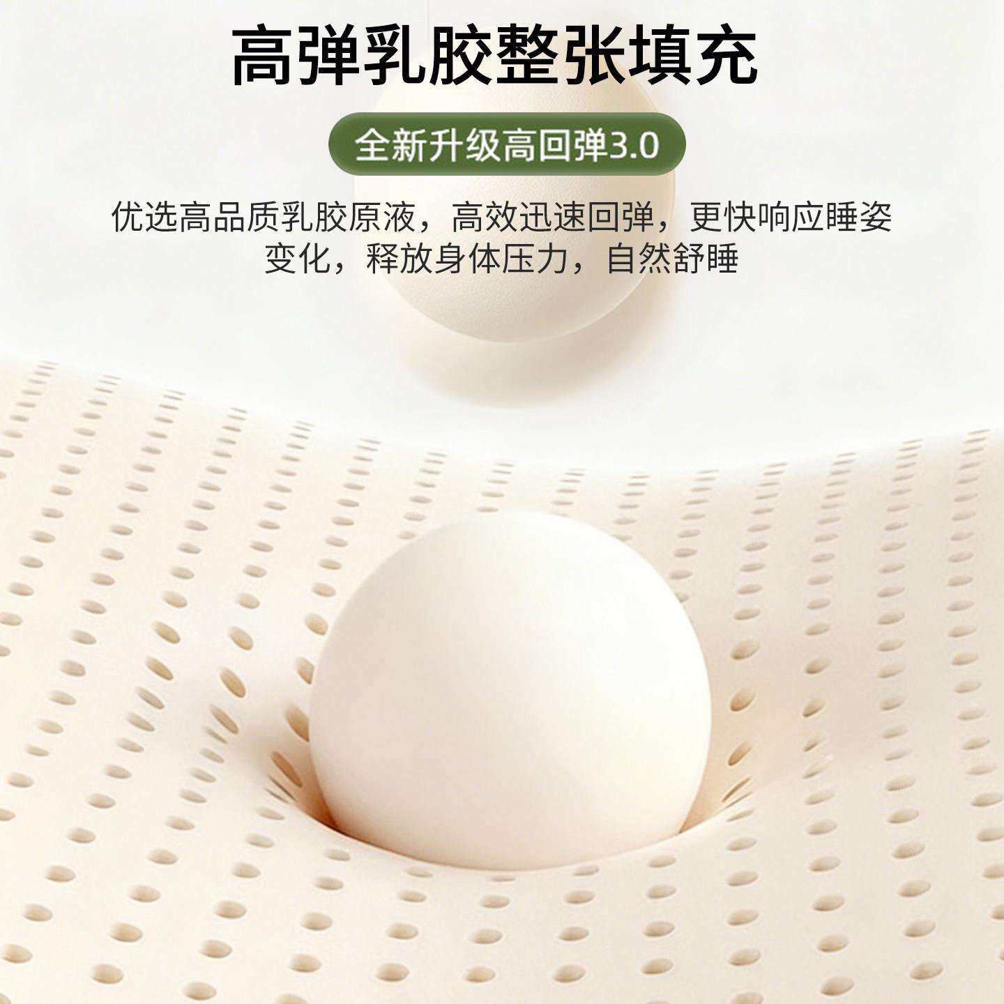 乳垫床遮盖物软垫家用卧1室80胶x200宿QLD舍单人租房用海绵床褥