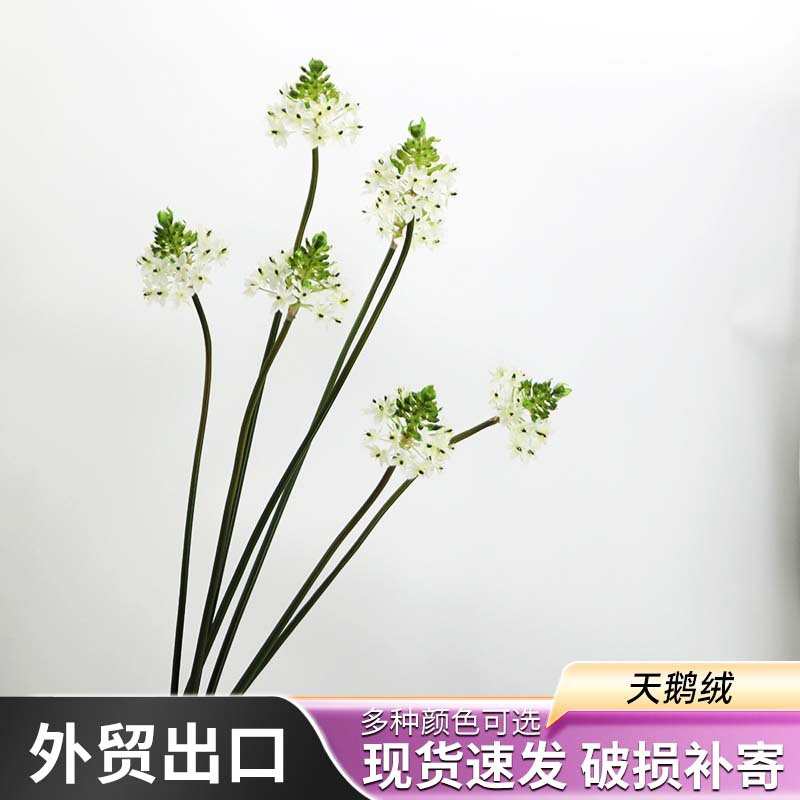 假花仿真花天鹅绒仿真花伯利恒之星韩式自然系室内装饰花艺插花图片