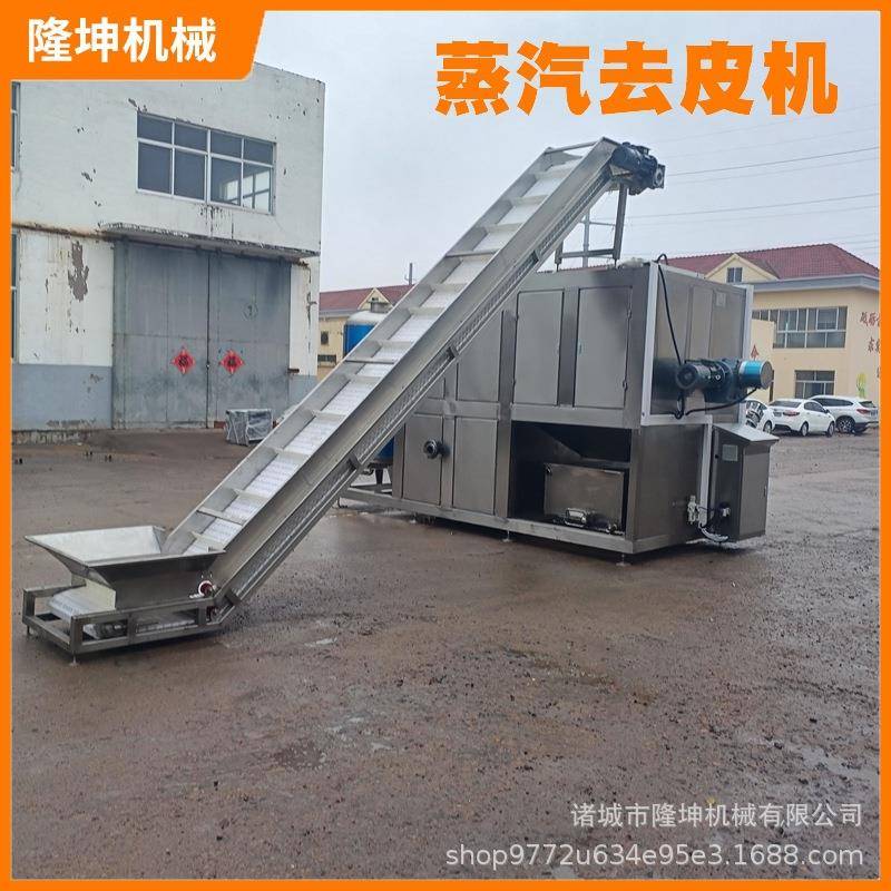 黄桃蒸汽去皮机 全自动果蔬蒸汽脱皮机 黄桃去皮加工设备流水线