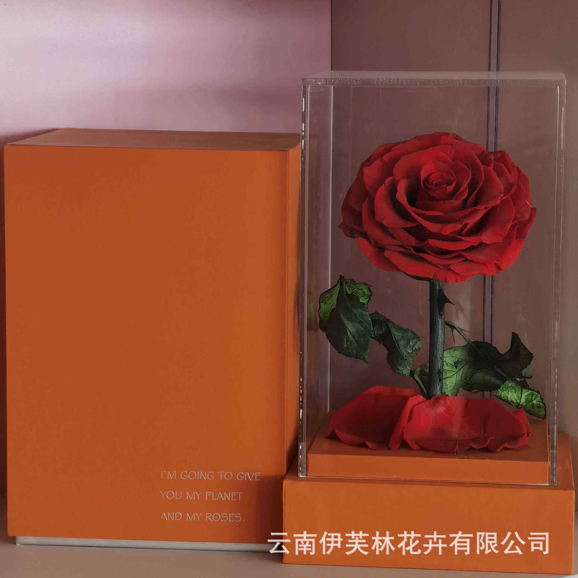 新款直销永生玫瑰花 透明亚克力小王子礼盒教师节生日礼物云南