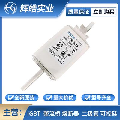 170M3819170M3819D低压快速熔断器熔断器座电子元器件辉皓