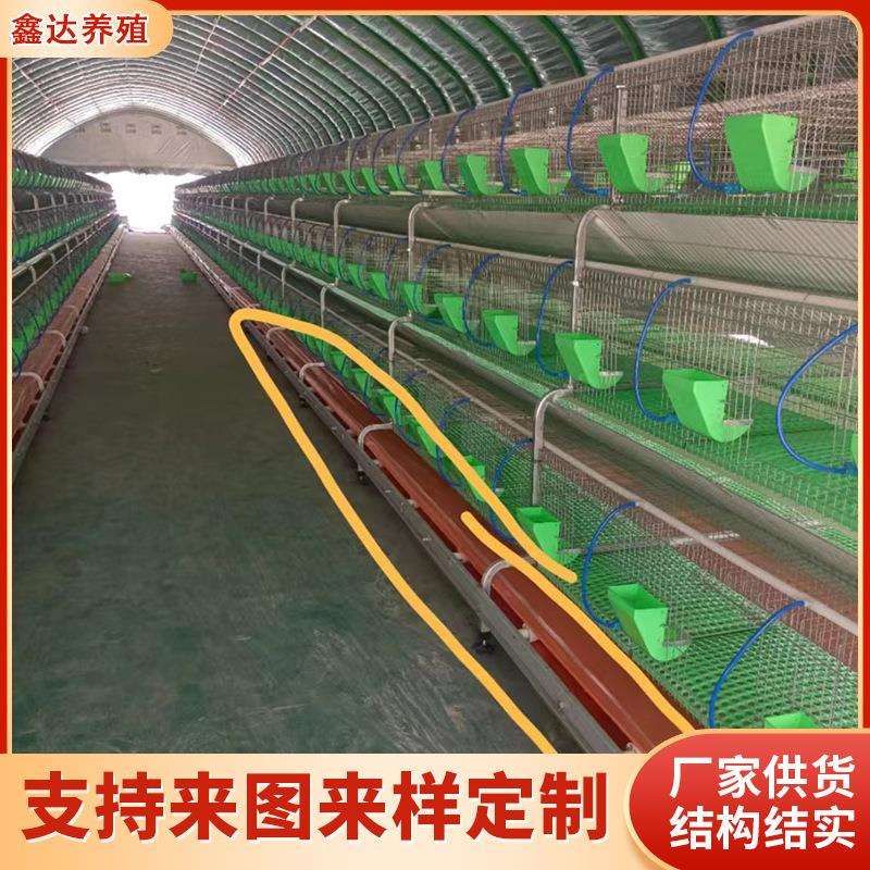 销售欧式24笼位双层繁殖兔笼 养兔用多功能养殖笼具自动喂料兔笼图片