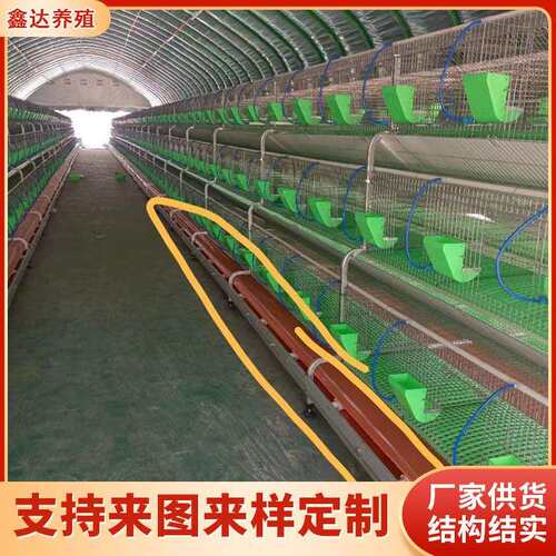 销售欧式24笼位双层繁殖兔笼 养兔用多功能养殖笼具自动喂料兔笼