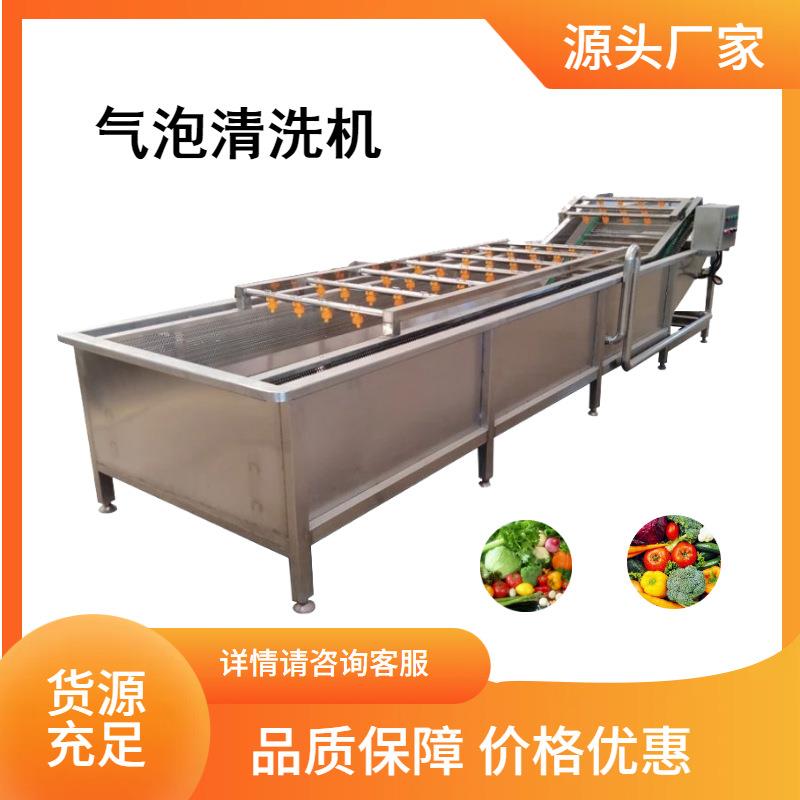 大型果蔬气泡清洗机蔬菜清洗机器西红柿黄瓜梅干菜气泡清洗机器