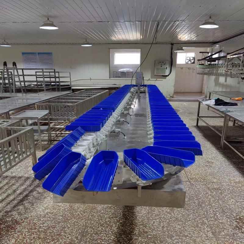 海参选机转盘式重分分量选鸡爪鸡翅分SMZ级机机厂家