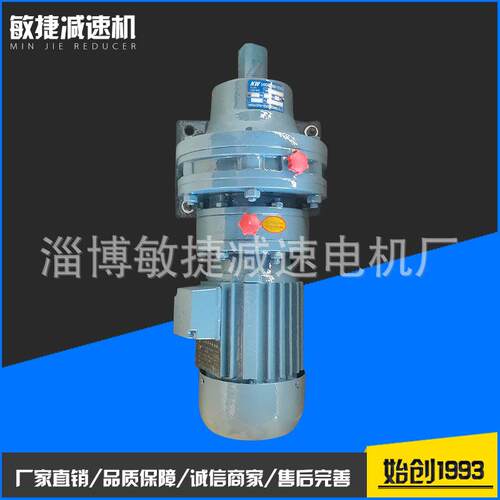 专业生产BLY立式摆线针轮减速机国茂同款BWDXWD系列现货