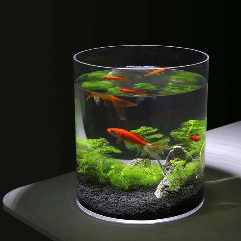 力客厅家用缸亚克圆柱形办公室缸小型圆形批发圆桶金鱼缸鱼缸乌龟