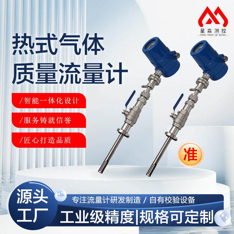 热式气体质量流量计氮气氩气空气管道插入式流量表质量数字化计量