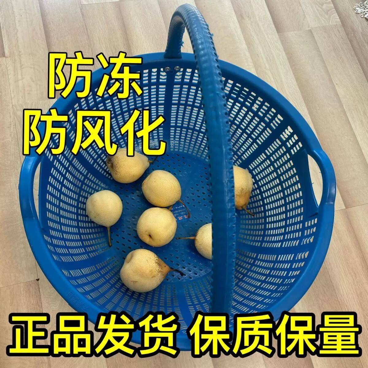尼龙小孔眼农用果蔬篮筐塑料玉米土篮子特惠红薯防冻家用收土豆篮