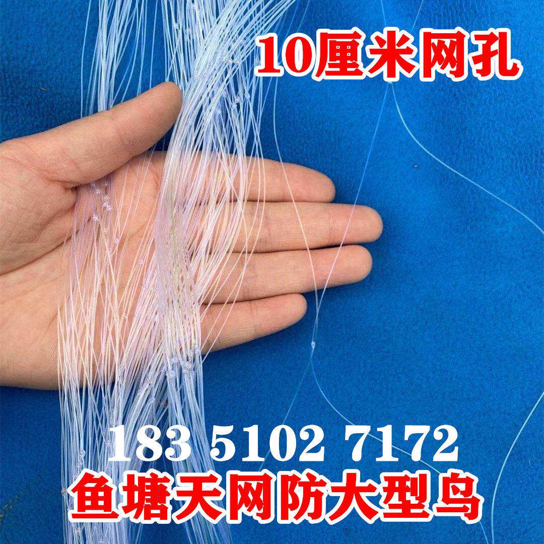 鱼塘防鸟用网青蛙养殖场防白鹭10公分网眼防鸟天网鱼塘天网防护网