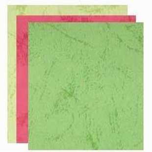 平装 订皮纹纸 装 160克A3 100张装 460mm 订封面 多种颜色 297