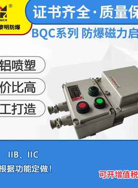 防爆磁力启动器电磁起动器BQC-32A380V新黎明磁力启动器国标