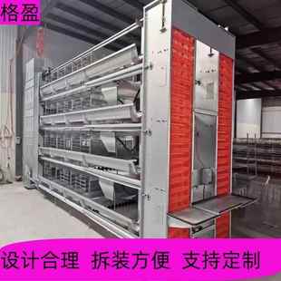 厂家直销全自动大层叠蛋鸡笼集蛋清粪一体养殖设备蛋鸡笼